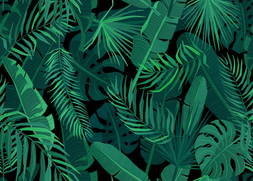 Tropic seamless pattern vector illustration. Tropical floral endless background with exotic palm, banana, monstera leaves on dark black backdrop