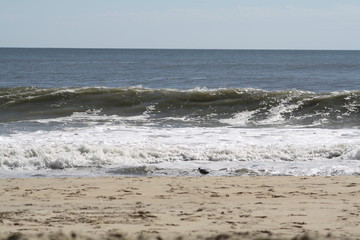 waves on the beach