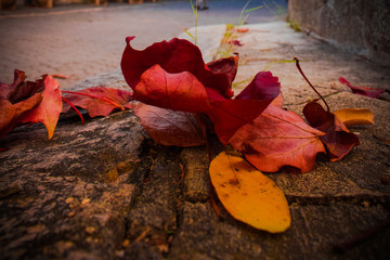 Otoño