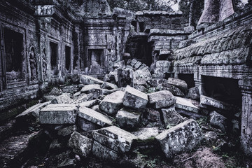 The ruins of Angkor Wat