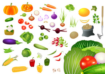 Vegetables icons, isolated vector set