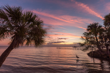 Palm Trees at Sunset on the Indian River in Florida