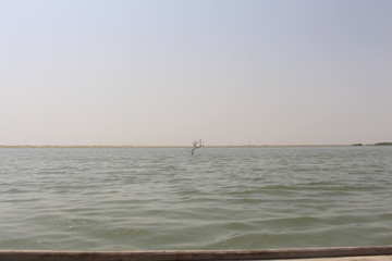 fishing in the sea