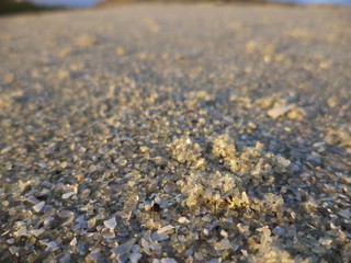 pebbles on the beach