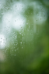 Rain drops on window with green tree in background
