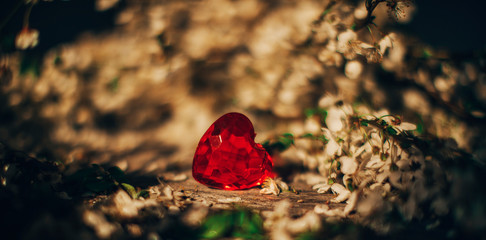 Red heart. 