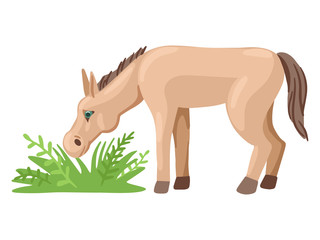 Foal or a donkey grazes in a meadow, eats grass. Vector character.