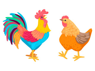Rooster and chicken go. A pair of domestic birds. Vector characters are not white background.