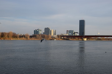 Fototapeta premium Vienna e il Danubio - panorama