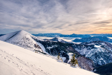 Photo of picturesque highlands with snow mountains, fir trees, sky and fog in slovakia