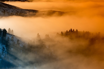 Warm colors of sunrise bathe fog caused by a weather inversion - obrazy, fototapety, plakaty