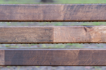 Fragment of a decorative bench in the Park
