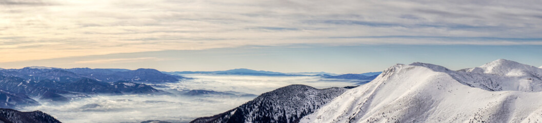 Snow mountain wildlife