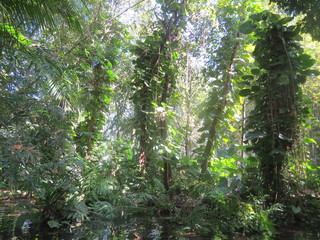 Naturaleza en Mexico