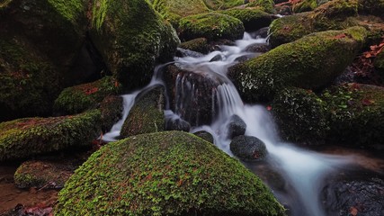 waterfall in forest