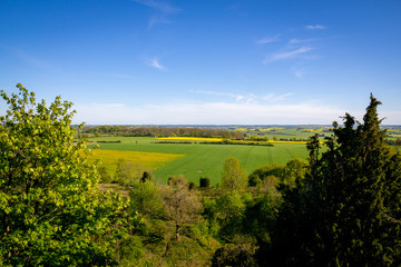 The flat Swedish farmlands with green fields and yellow rapeseed (canola) fields is seen from the hill Billebjer in Skåne, the southern part of Sweden