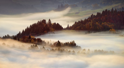 Pieniny sunrise light