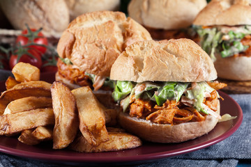 Pulled chicken sandwich with salad and bbq sauce