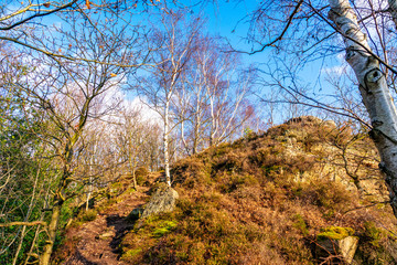 Obraz premium Gipfelpfad im Buntsandstein