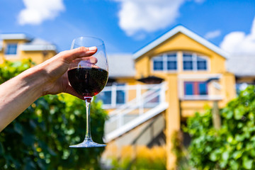 Man hand holding a glass of red wine selective focus close up view against big yellow wine tasting...