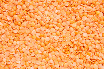 Unfocused orange lentil completely scattered in an even layer on a flat surface. Natural close-up background with copy space