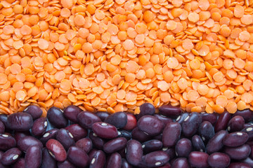 Dry cereals: red beans and orange lentils-source of protein close-up laid out in a row top view. Natural background with space for copying