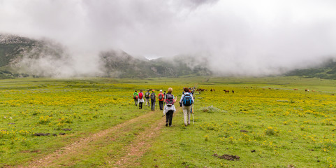 Hikers in foggy mountains