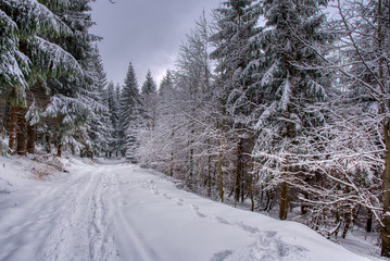 Winter in Beskydy Mountains. Fresh snow makes great atmosphere.