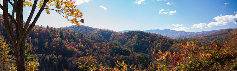 Vibrant Fall Panoramic