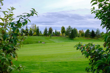 View of the golf course with green lawn trees and ornamental shrubs. Golf course, beautiful scenery.