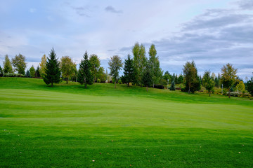 View of the golf course with green lawn trees and ornamental shrubs. Golf course, beautiful scenery.