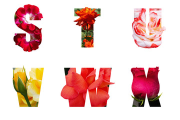 Letters of the alphabet from flowers of roses