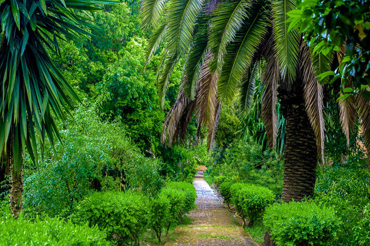 Tropical garden in Sala Colonia and Islamic complex Chellah, mosque and minaret. Chellah is the necropolis of Rabat.
