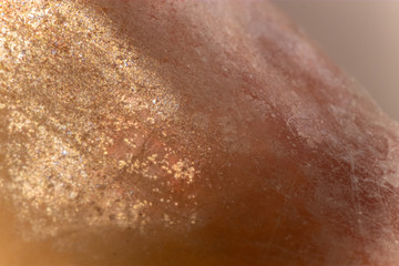 Close Up Glittery Shell