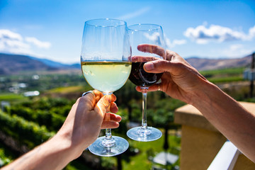 happy couple hands cheering red and white wine glasses from a winery tasting room terrace against...