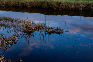 Water rushes reflecting in the River Bush, Bushfoot, Portballintrae, County Antrim, Northern Ireland