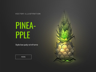 Pineapple low poly wireframe landing page template