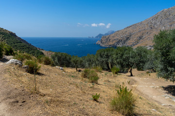 Italy, Campania, Sorrento , Nerano, Jeranto
