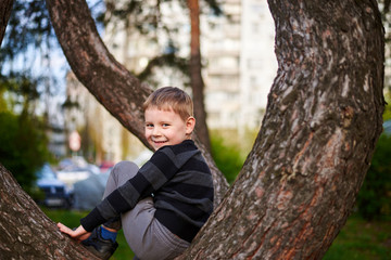 A little boy climbed and sits on a tree.