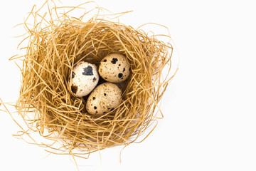 Obraz premium Quail eggs in the nest. Quail. Spring. Easter eggs. Spring Festival. Eggs Nest with eggs. Easter.