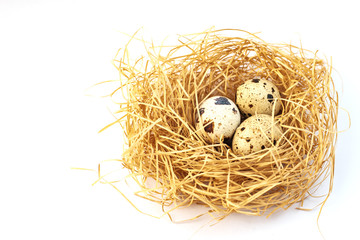 Naklejka na ściany i meble Quail eggs in the nest. Quail. Spring. Easter eggs. Spring Festival. Eggs Nest with eggs. Easter.