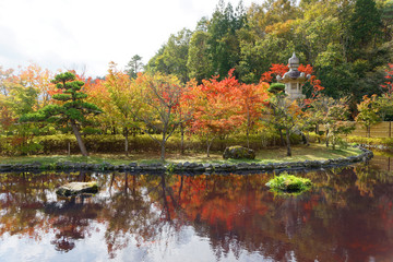 Beautiful Japanese pond. Red and green maple and pine trees reflecting in the water