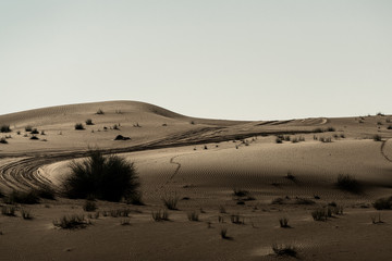 Fototapeta na wymiar Hermoso desierto en Dubai