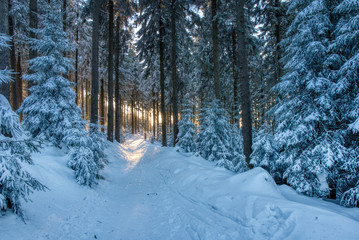 Majestic winter landscape glowing by sunlight in the morning. Dramatic wintry scene. czech beskydy