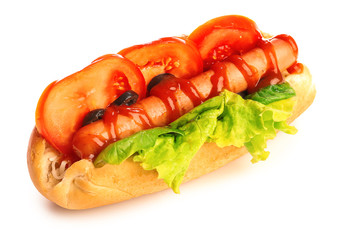 Tasty hot dog on white background