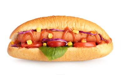 Tasty hot dog on white background
