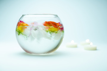Roses and vase and burning candles on white background