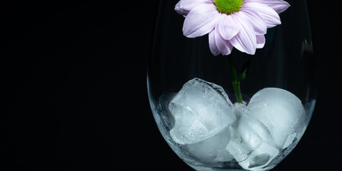 Close up of ice cubes and flower in clear wine glass, healthy lifestyle concept