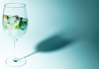Flowers in ice cubes in wine glass with shadow on white background 