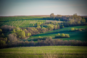 Fototapeta na wymiar beautiful evening view of fields on the hills